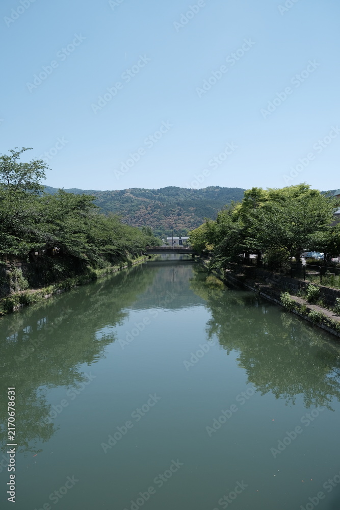 Fototapeta premium 京都の水路から望む山並みと緑豊かな初夏の風景