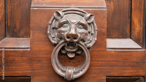 Foto An old metal door knocker in the shape of an animal’s head, used to knock on a w