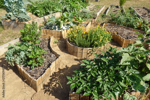 Canvastavla Backyard permaculture garden design featuring raised beds with various organic v