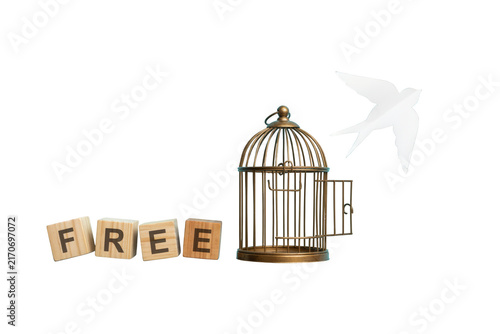 White bird escaping from an open golden cage near wooden blocks spelling free
