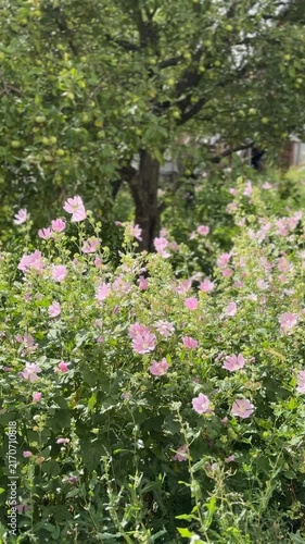 Pink flowers blooming in lush green garden with trees, creating a serene natural background