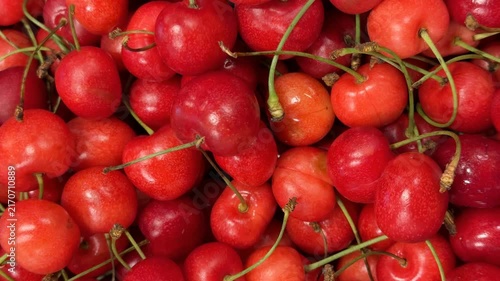 Ripe red cherries with green stems form a captivating close-up background