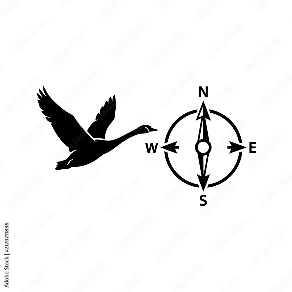 Fototapeta premium Flying goose with compass navigation symbol