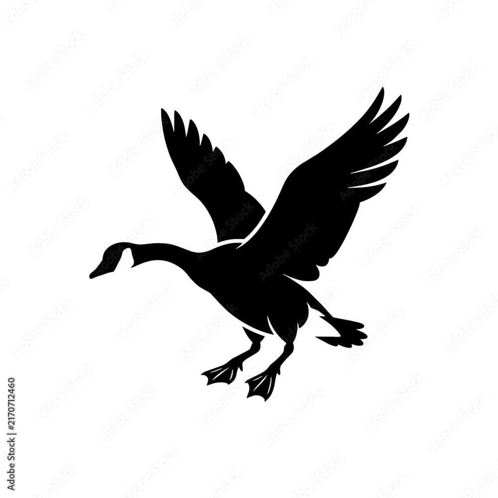 Fototapeta premium Black silhouette of a flying Canadian goose