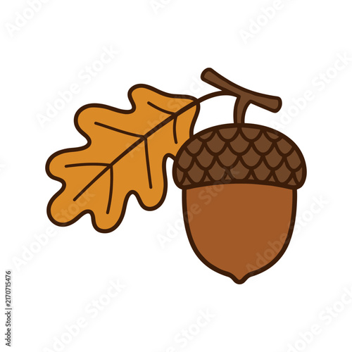 Cute acorn with oak leaf illustration