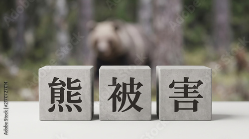 Tapety artystyczne 「熊被害」の文字が入ったブロックと野生のクマを示すコンセプト画像