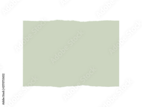 A rectangular piece of sage green paper with jagged torn edges on white
