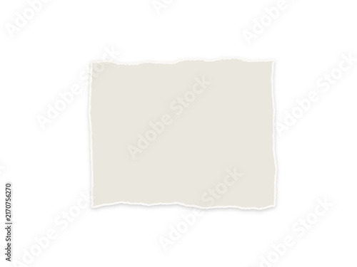 A single piece of blank off-white paper with rough torn edges on white