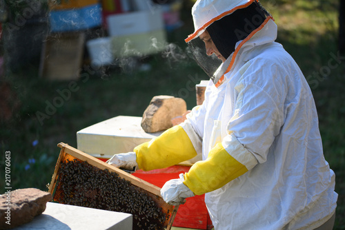Obraz na plátně Beekeeper examining frame beside red hive box