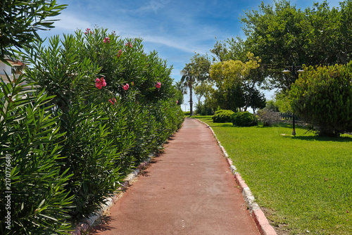 Scenic pathway bordered by blooming oleander, manicured lawns, and ornamental trees. For travel, hospitality, landscaping, and wellness advertising.