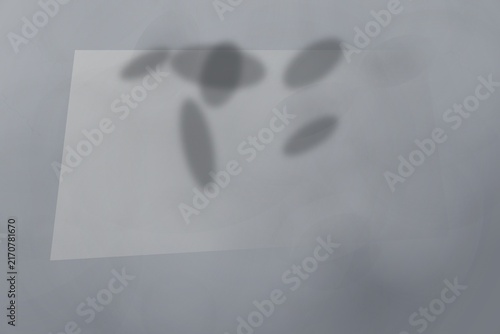 Фотография Soft dark elliptical shadows cast upon a light grey paper texture surface
