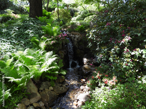 Photography Japanese garden in sunny spring day