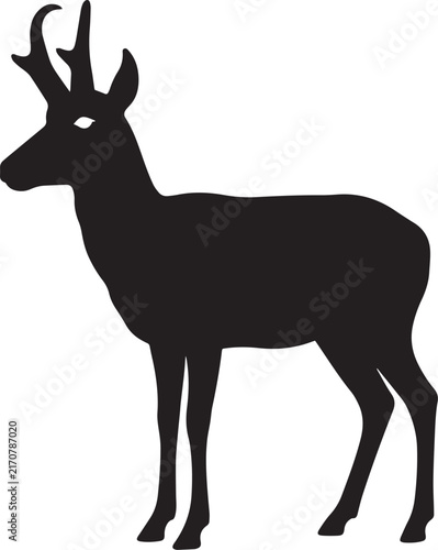Pronghorn Antelope Standing in the Wild – North American Wildlife 🦌
