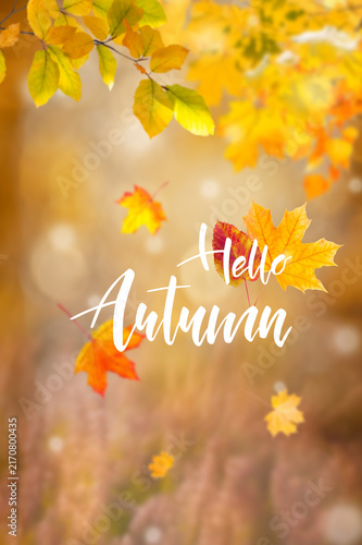 Autumn wallpaper with sunny fall leaves and lettring text
