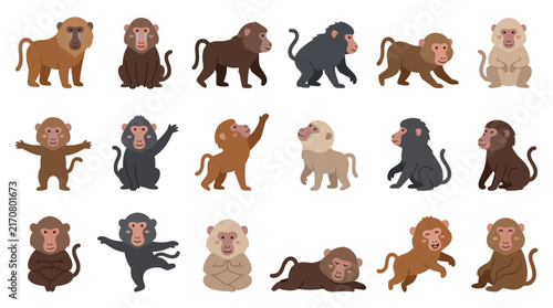 Canvas Print Set of cute baboon monkey characters in various poses and colors isolated on white background