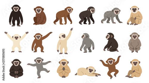 Canvas Print Set of cute gibbon monkey characters in various poses and colors isolated on white background