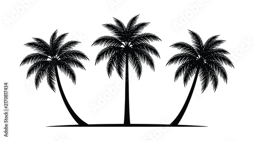 palm tree silhouette