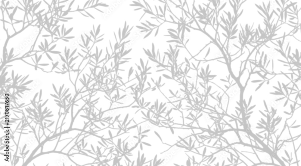 Fototapeta premium Minimalist grey branches and leaves pattern isolated on transparent background