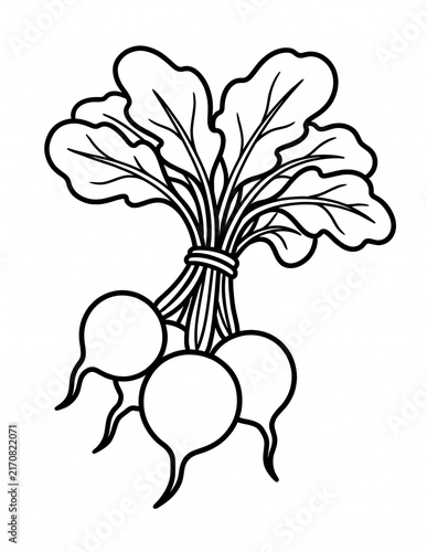 Obraz na płótnie radish, radishes, beetroot, turnip, vegetable, vegetables, root, bunch, leaves,