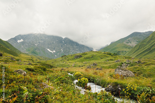 Canvastavla A lively alpine stream winds through wildflowers and rocky meadows beneath misty