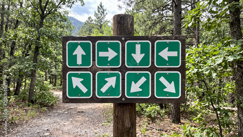 Wooden signpost with eight directional arrows in a forest
