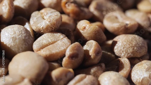 Raw Unroasted Coffee Beans Close-Up Rotating	