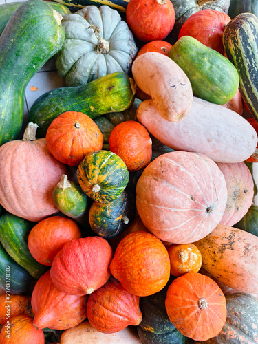 Harvested orange and green pumpkins background in a random pile of different varieties of pumpkin