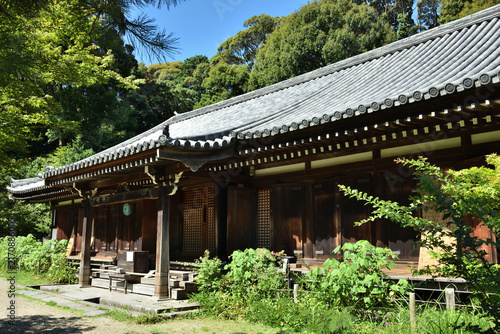 夏の浄瑠璃寺　本堂(京都府木津川市)