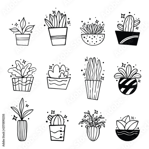 Houseplants. Doodle outline drawings plants, succulents in pot. Indoor exotic flowers with stems and leaves