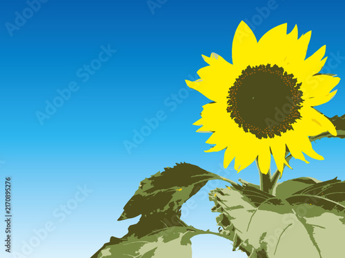ヒマワリ, 花, 自然, サマー, 黄色, 孤立した, 植える, 太陽, 白, 全盛期, 明るい, 美しさ, 葉, 農学, 植物, アップ, 美しい, 野原, 庭, シングルス, 茎, 種子, ひまわり, 向日葵, 和風, 年賀状, sunflower, flower, nature, summer, yellow, isolated, plant, sun, white, bright, bea