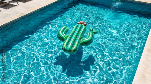 Aerial Overhead View of Cactus Shaped Inflatable Pool Toy floating in Sparkling Blue Water