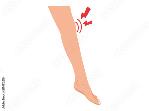 Leg and Knee Pain or Joint Pain