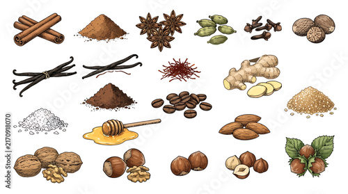 Baking spices vector illustration collection with cinnamon star anise and aromatic ingredients