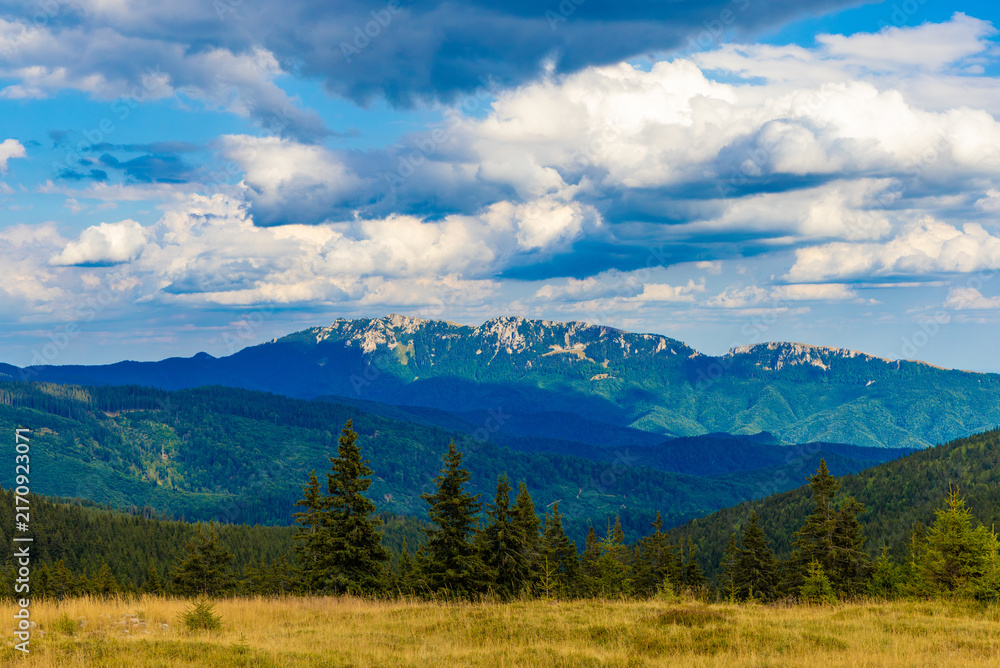 Fototapeta premium Landscape with Buila Vanturarita mountain - Romania in summer