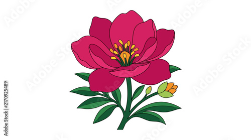 Vibrant Magenta Flower with Green Leaves and Bud