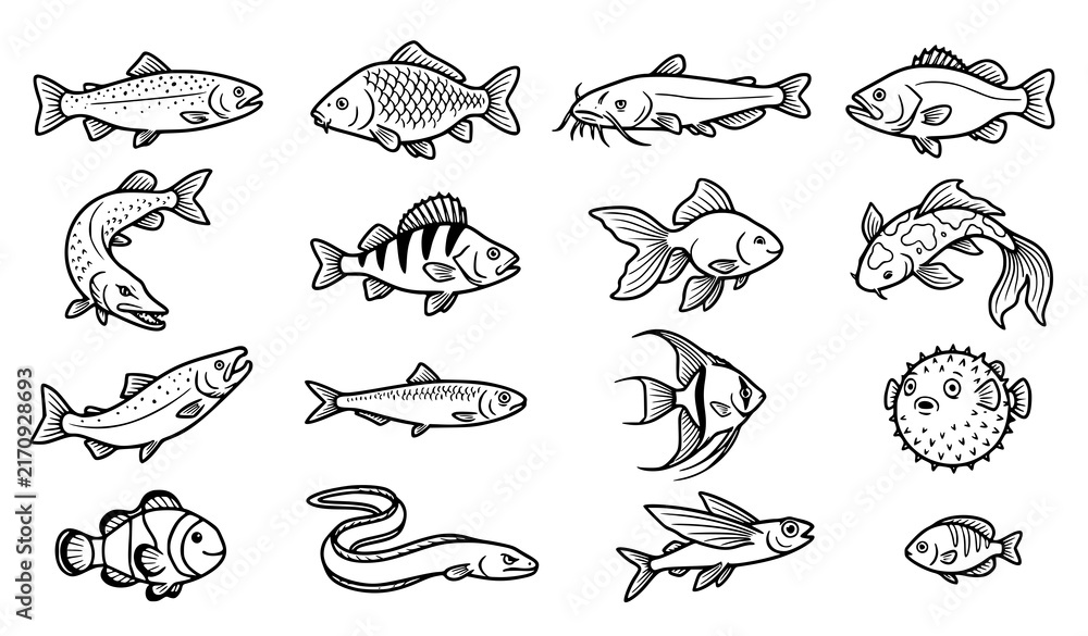 Obraz premium Hand drawn collection of various fish, marine and freshwater aquatic animal illustrations in vintage style