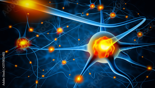 Quadro su tela Glowing Neuron Network With Active Synapses and Neural Signals in Brain Science