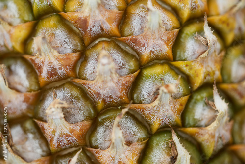 Obraz na plátně Pineapple skin macro texture featuring detailed geometric patterns of the outer