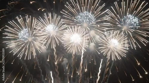 Spectacular Colorful Fireworks Display Exploding in the Dark Night Sky Celebration
