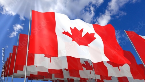 Multiple Canada flags waving on blue sky