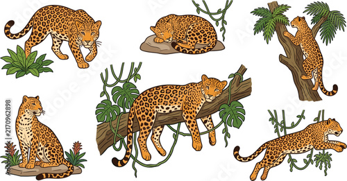 Canvas Print Leopard and Jaguar Wild Cat Vector Illustration Set Featuring Animals Sleeping,