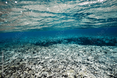 Pristine tropical seascape with shallow reef beneath the ocean surface