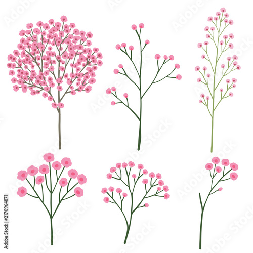 Hand drawn pink baby's breath gypsophila set, minimalist botanical sketch clipart, six simple sprigs isolated on white background