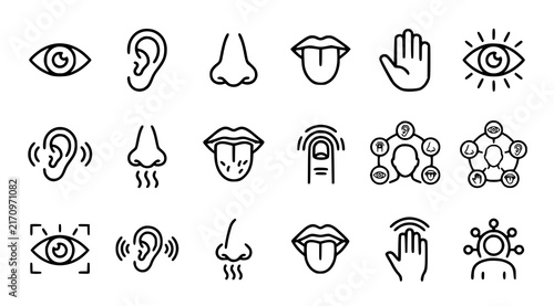 Fotografía Minimal five human senses icons with sight hearing smell taste touch anatomy and