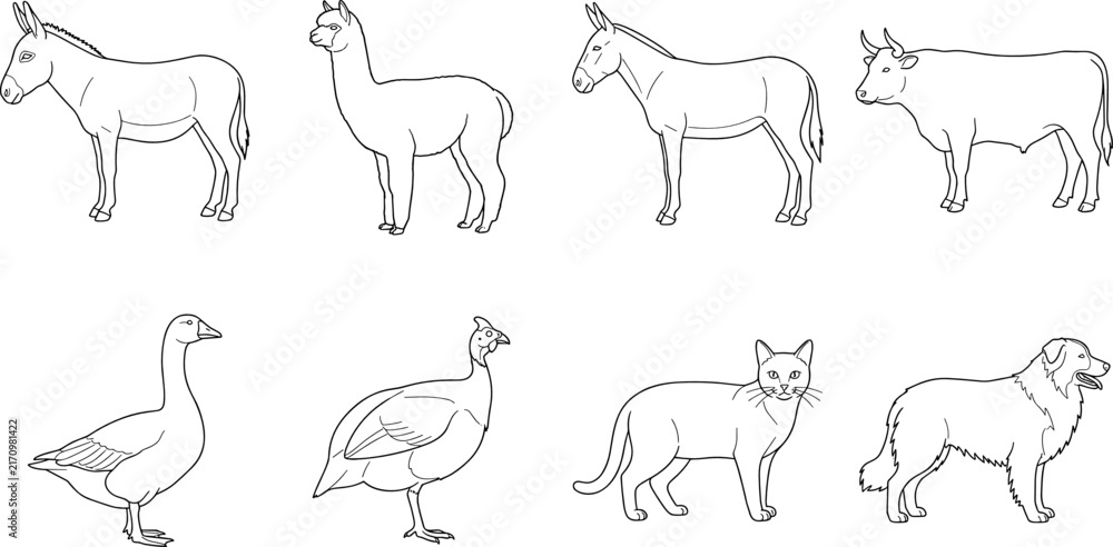 Naklejka premium Domesticated Animal Line Drawings Featuring Donkey, Alpaca, Cow, Goose, Cat, and Dog