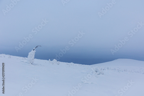 Snow on Manpupuner plateau, Komi Republic, Russia.