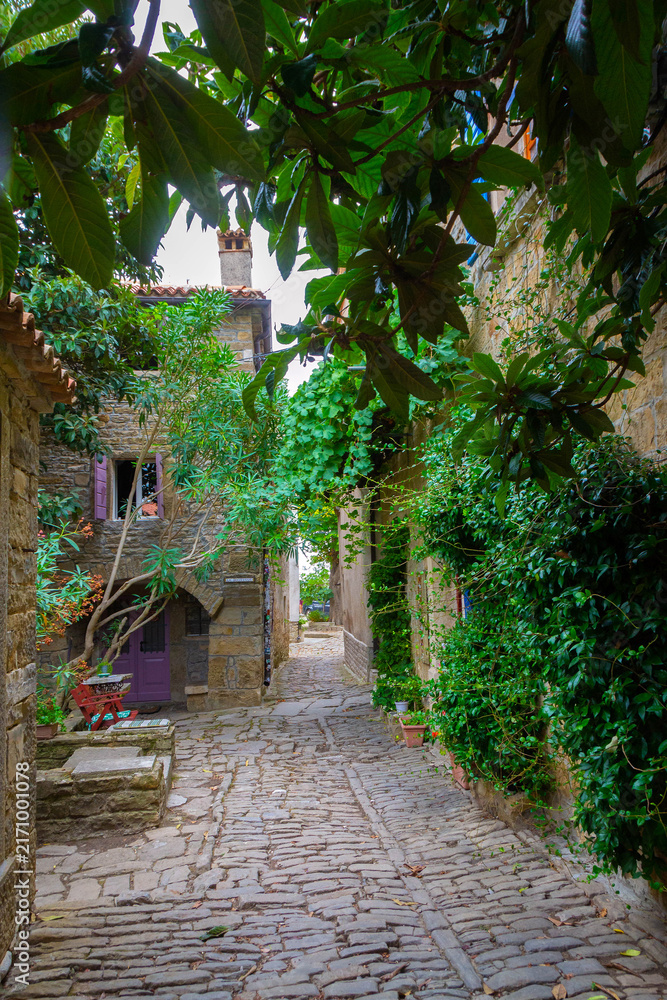 Fototapeta premium Charming Cobblestone Alleyway in Medieval Grožnjan, Istria, Croatia, Framed by Greenery