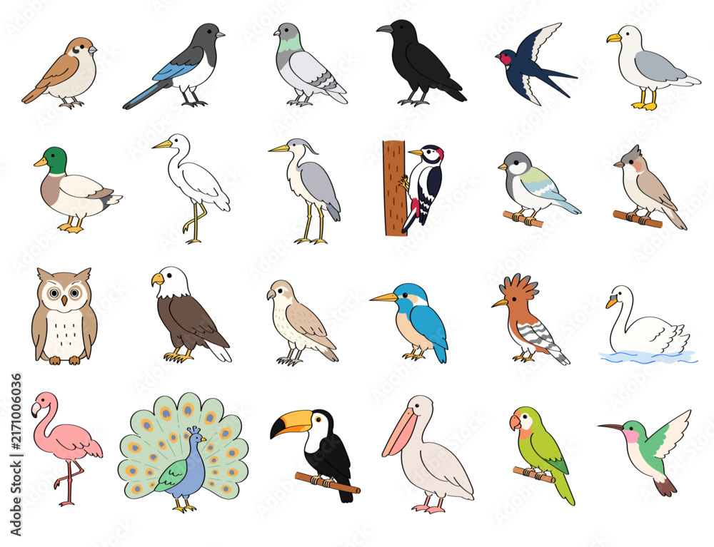 Obraz premium Colorful Bird Species Collection with 25 Different Birds