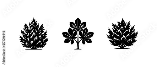 Three elegant black silhouettes of trees on white background
