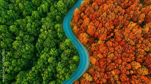 Aerial view of a winding road dividing green and orange autumn forests.
